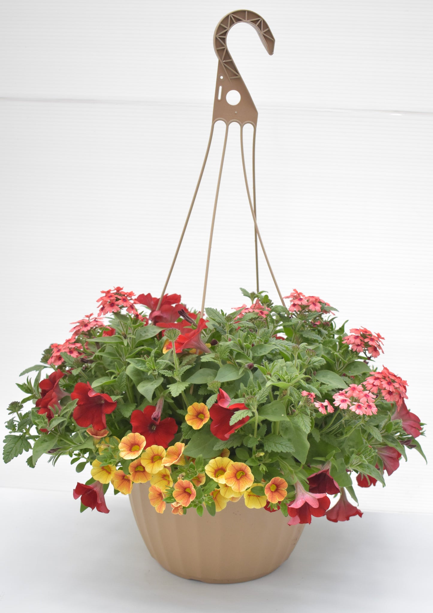Euro Mixed Combo Hanging Basket
