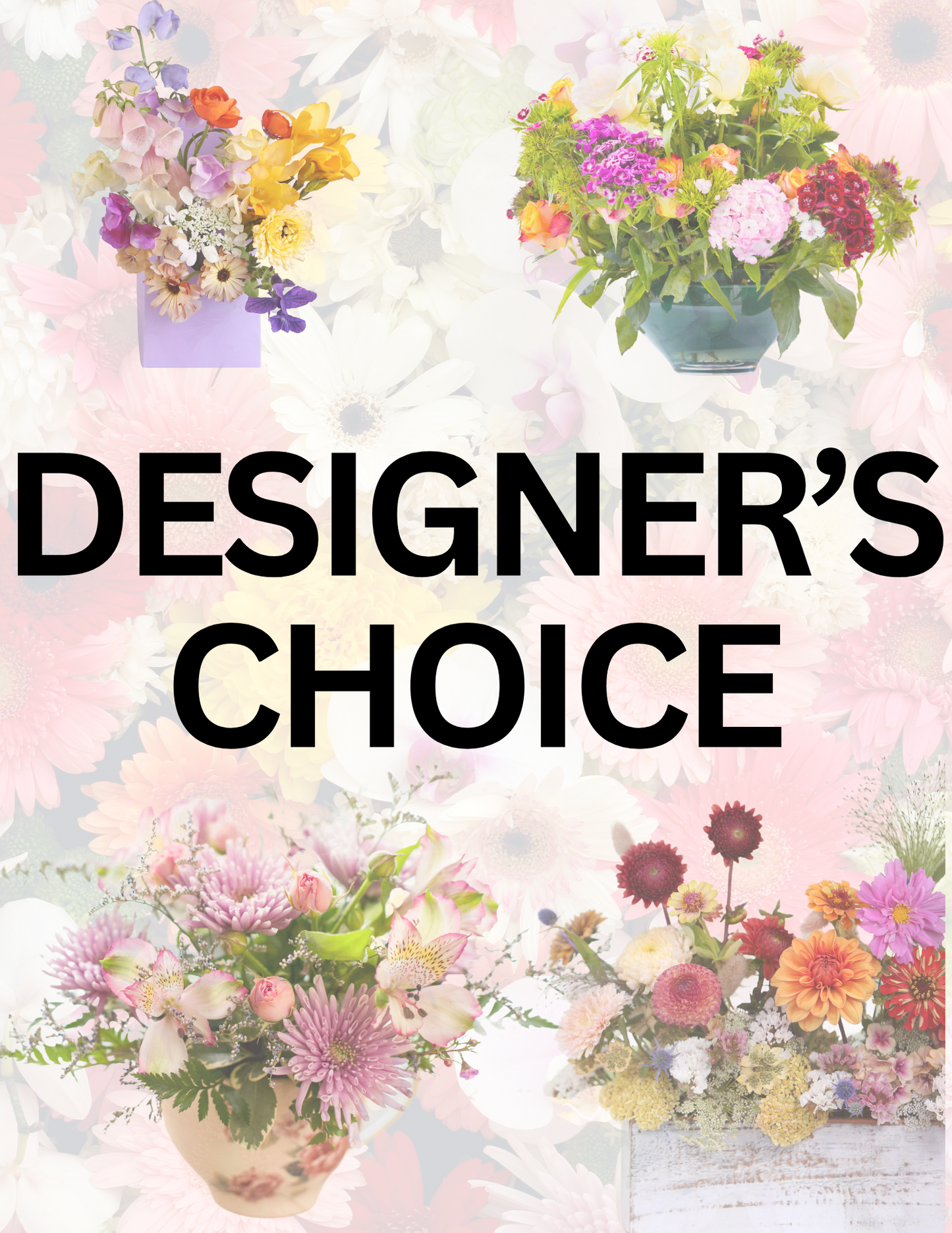 Designer's Choice