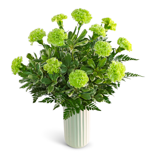 One Dozen Bright Green Carnations