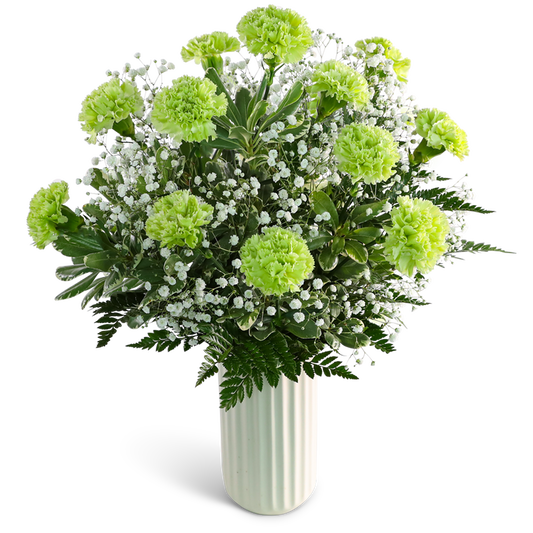 One Dozen Starry Green Carnations