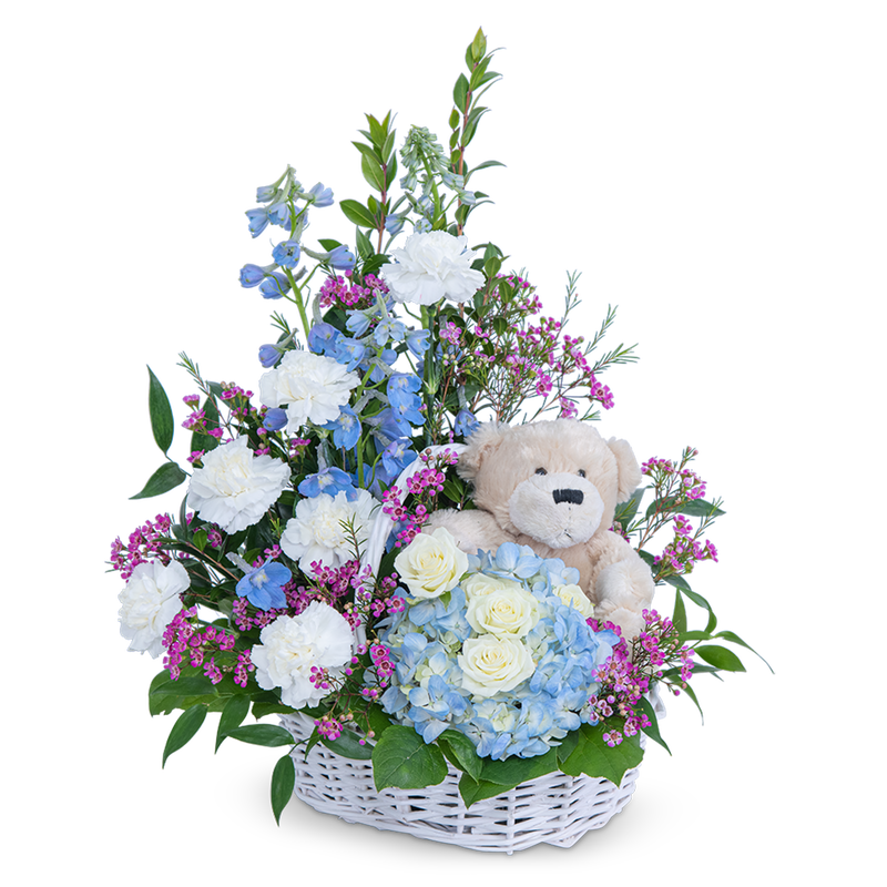 Beary Lovable