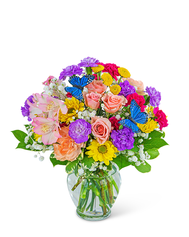 Butterfly Blooms