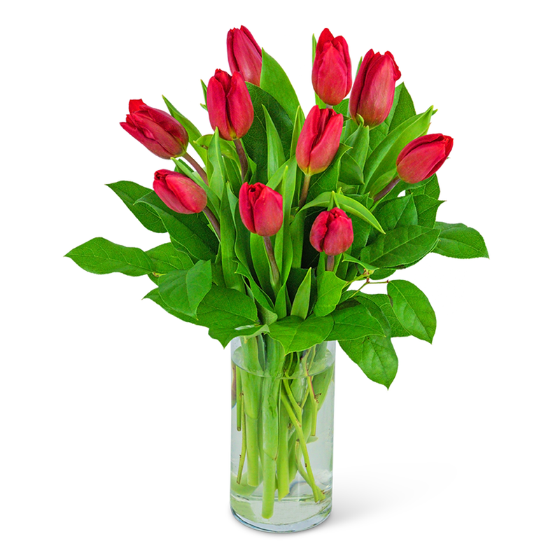 All Tulip Arrangement