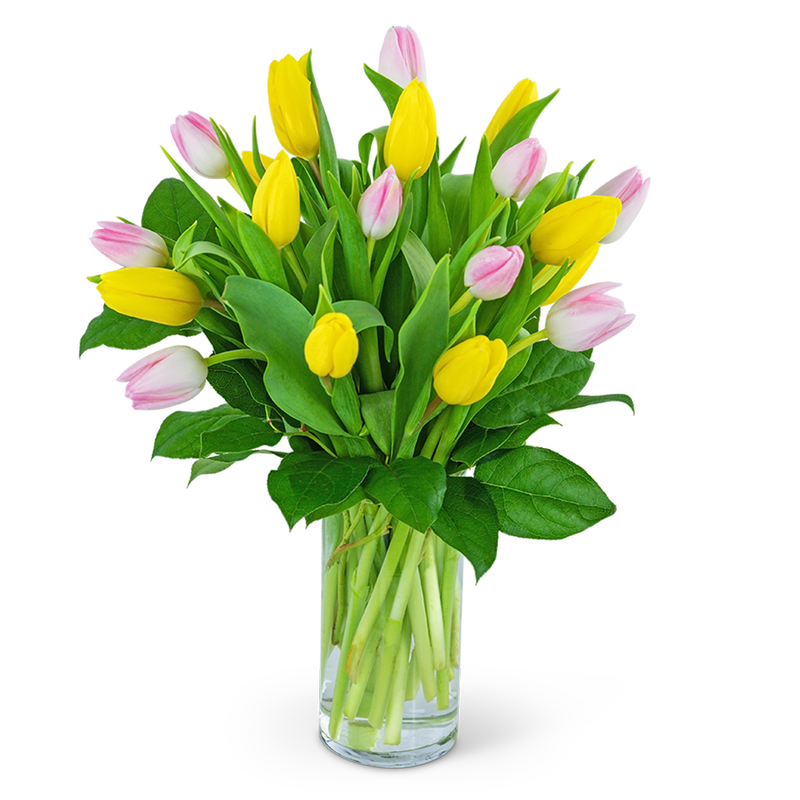 Strawberry Lemonade Deluxe Tulips