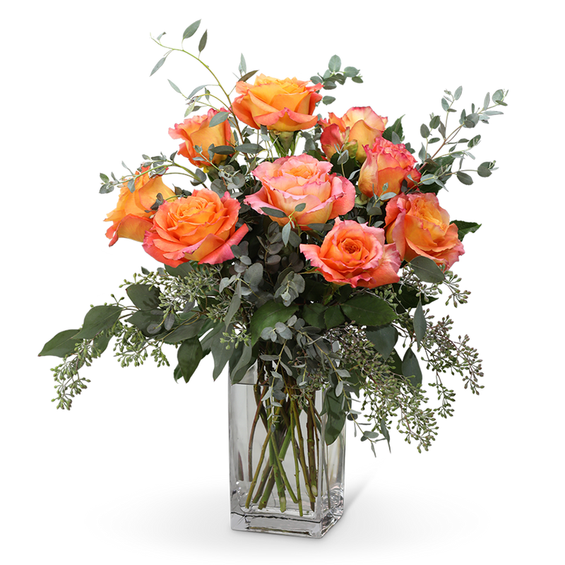 Free Spirit Roses (9)