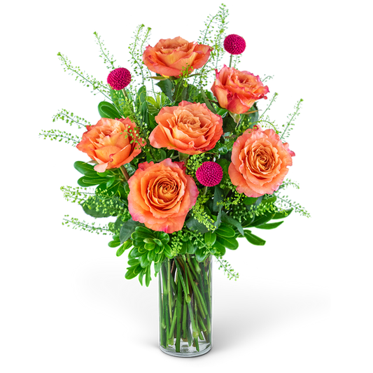 Half Dozen Wild and Free Spirit Roses