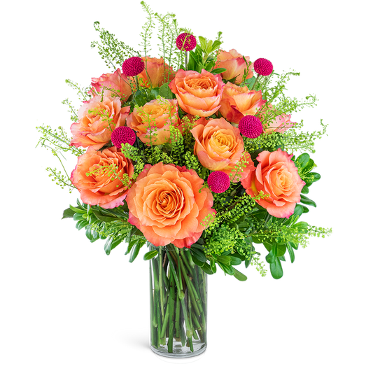 One Dozen Wild and Free Spirt Roses