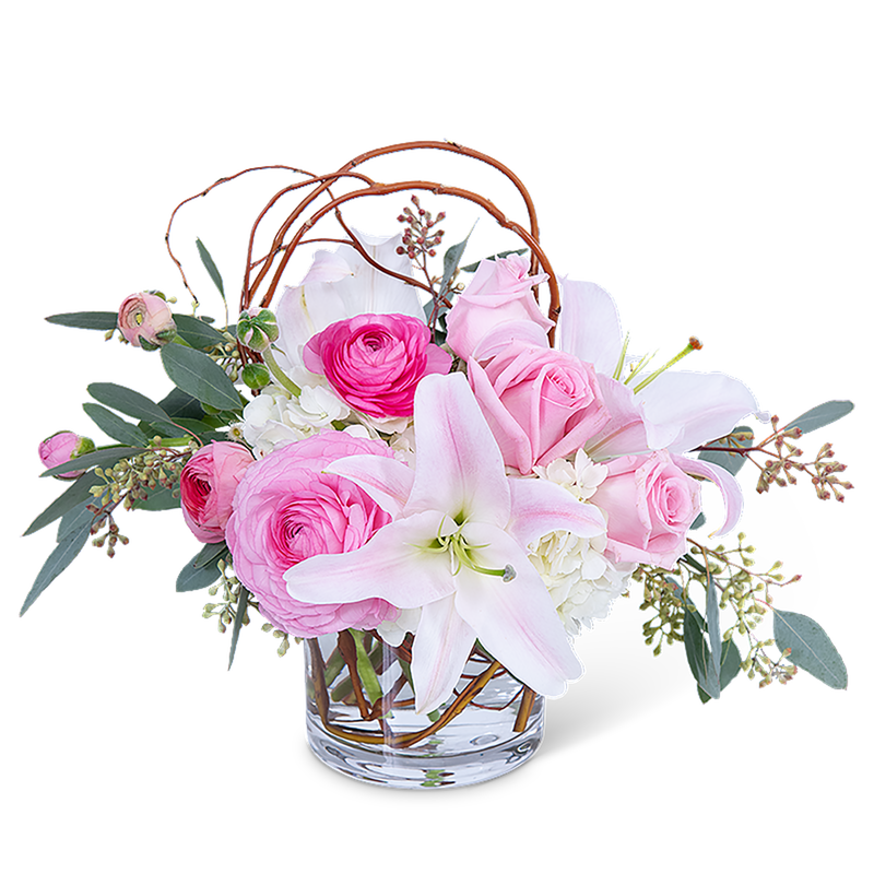 Blush Celebration