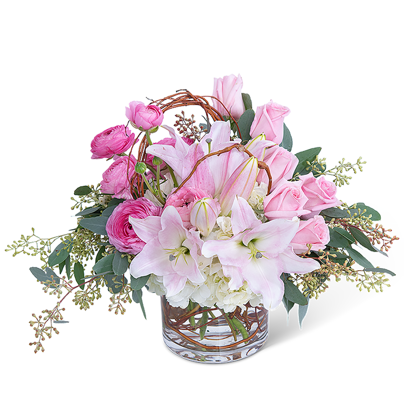 Blush and Willow