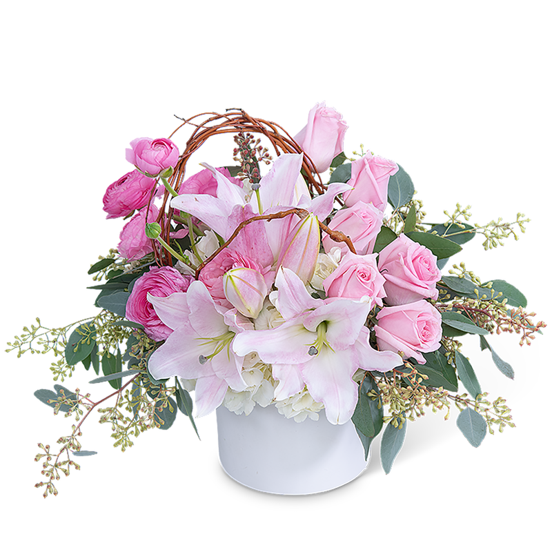 Blush and Beauty