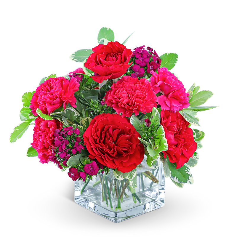 Stylish Pomegranate