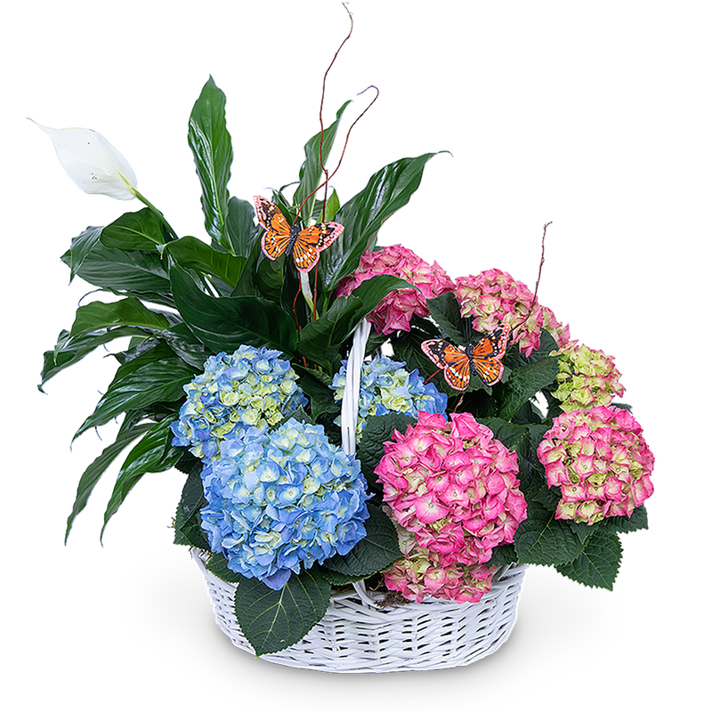 Bountiful Basket with Butterflies