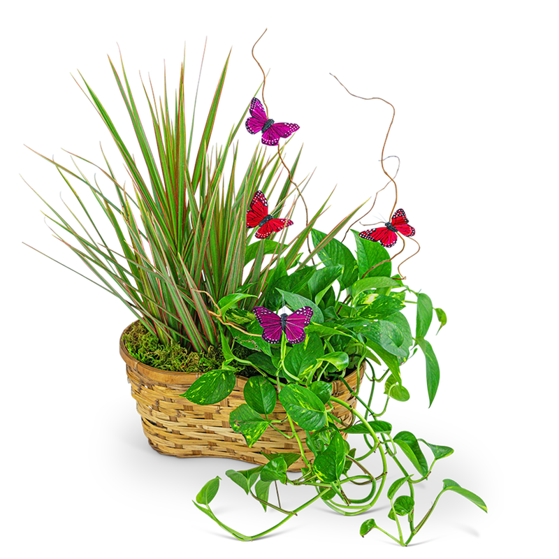 Ethereal Garden Basket