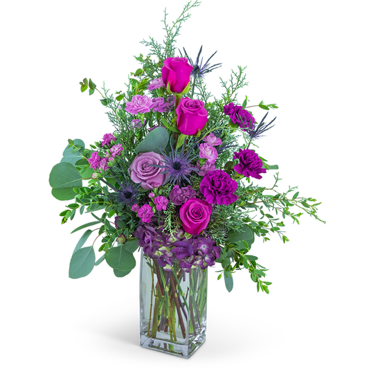 Midnight Magenta