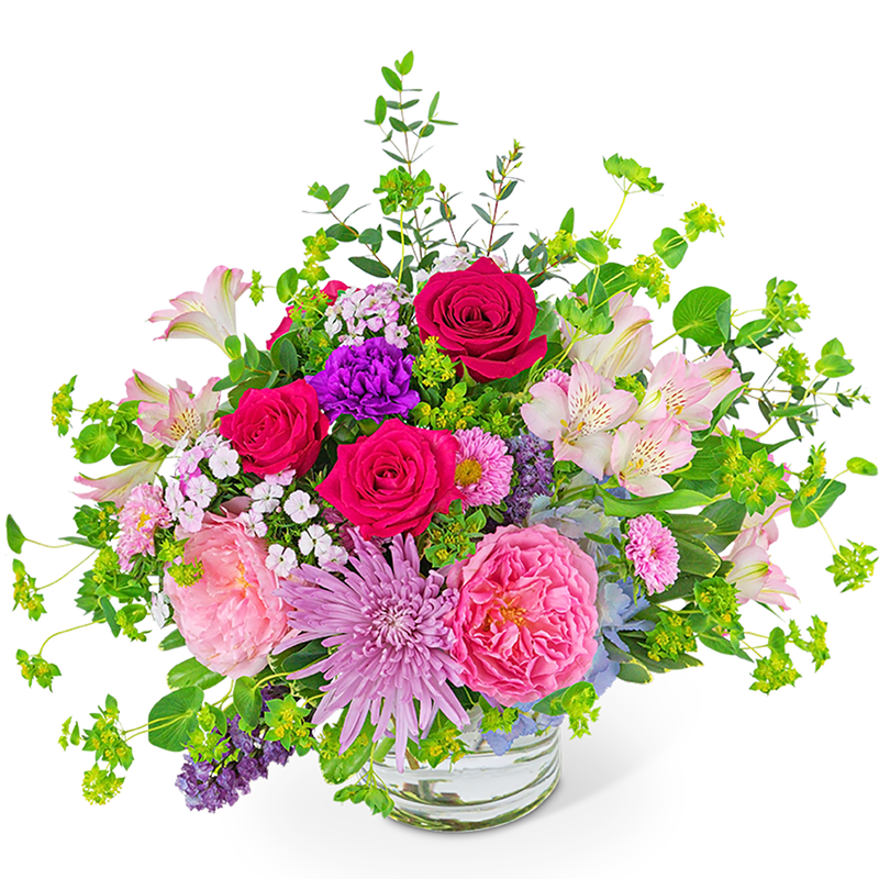 Blooming in Color