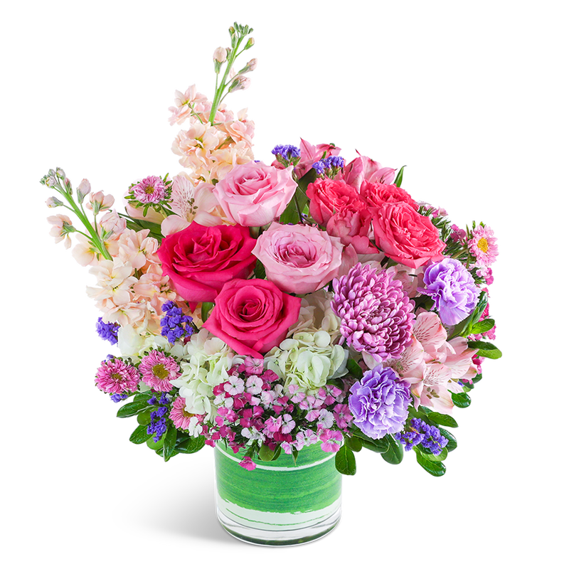Strawberry Rosette Garden