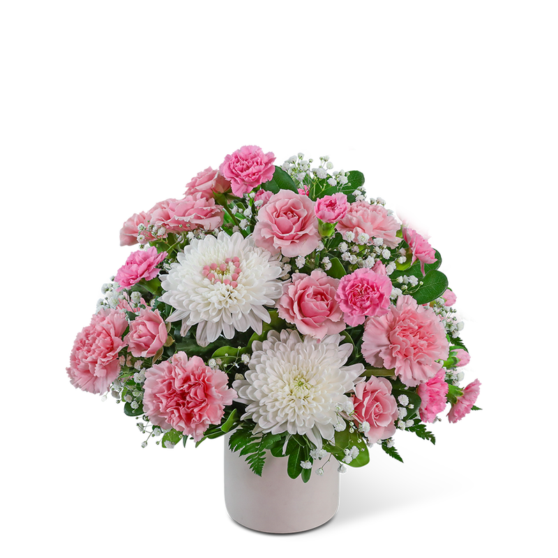 Sweet Love Blooming