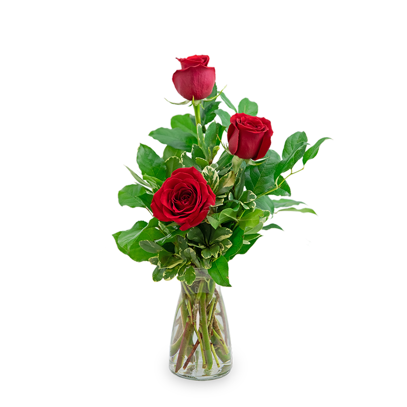 Red Roses (3)