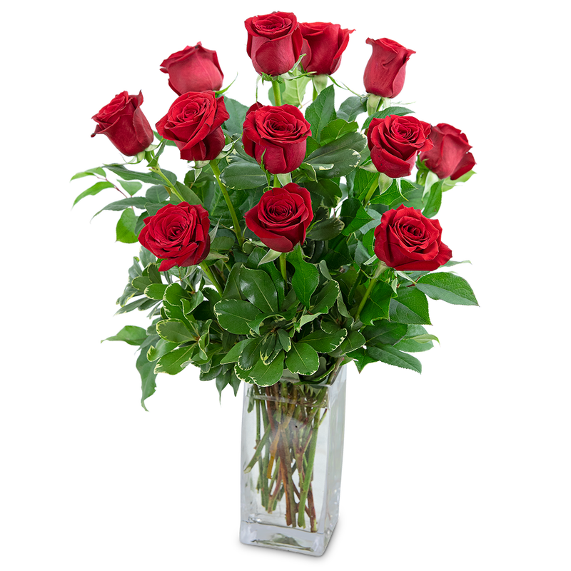 Classic Dozen Red Roses