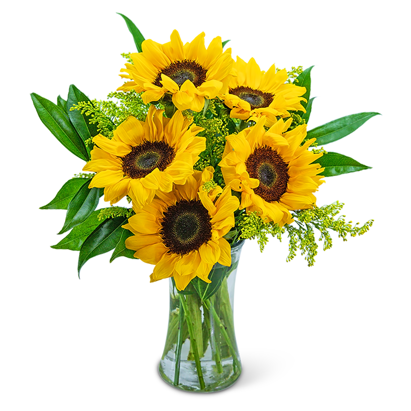 Sprinkle of Sunflowers