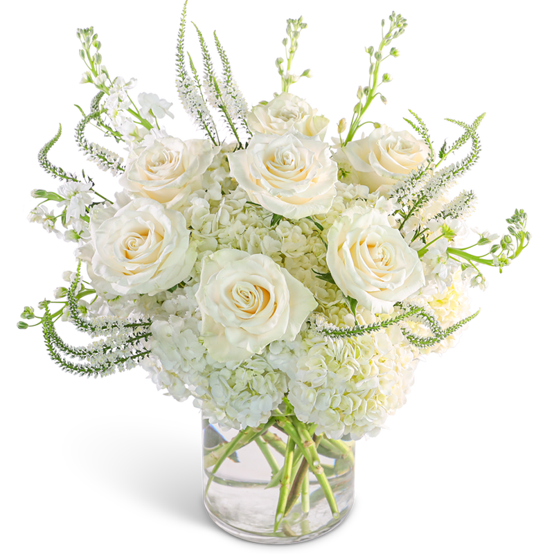 Chantilly Elegance