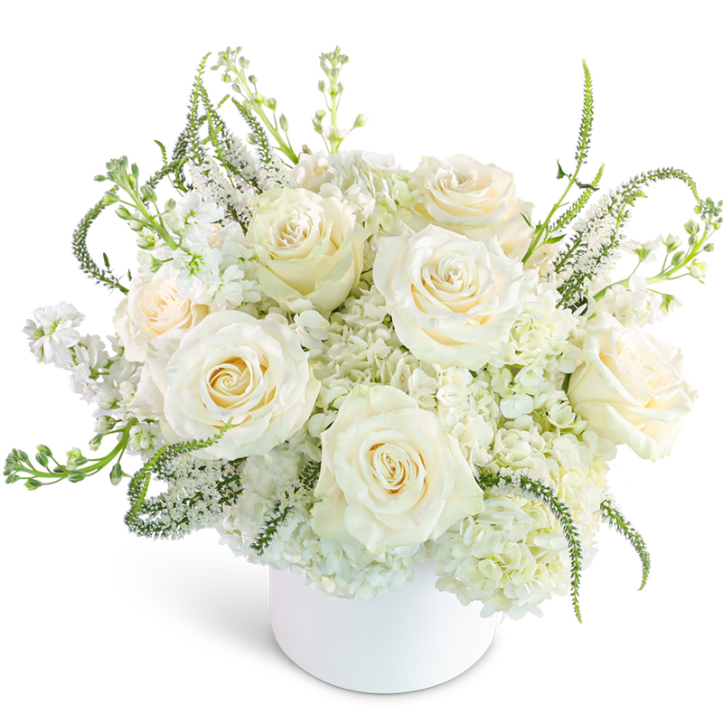 Chantilly Creme
