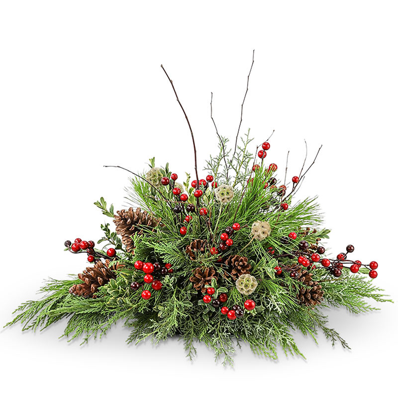 Evergreen Embrace