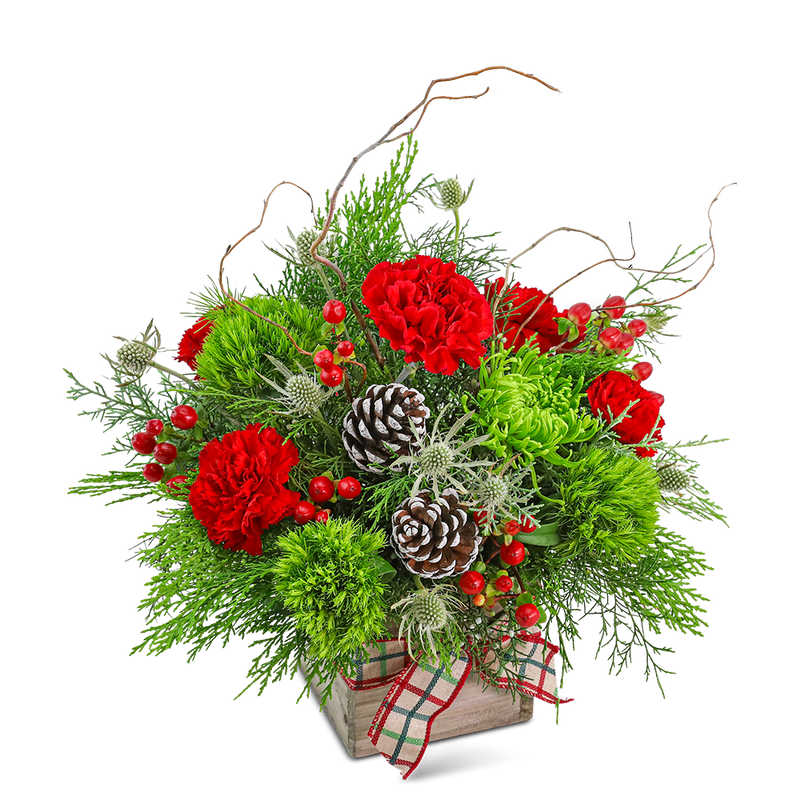 Festive Tidings
