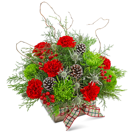 Joyful Tidings