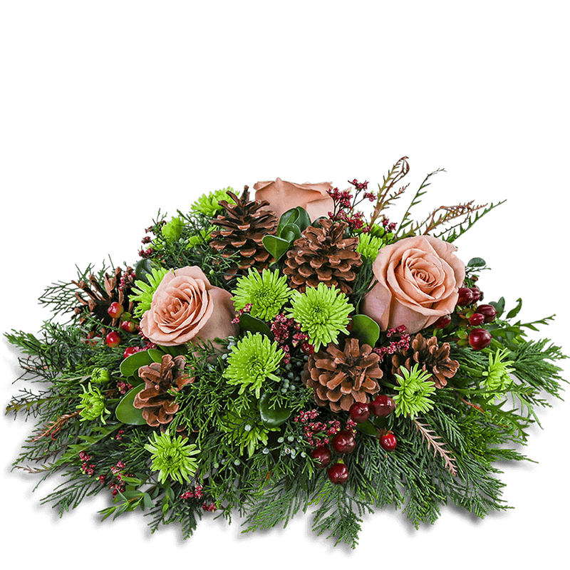 Botanical Holiday