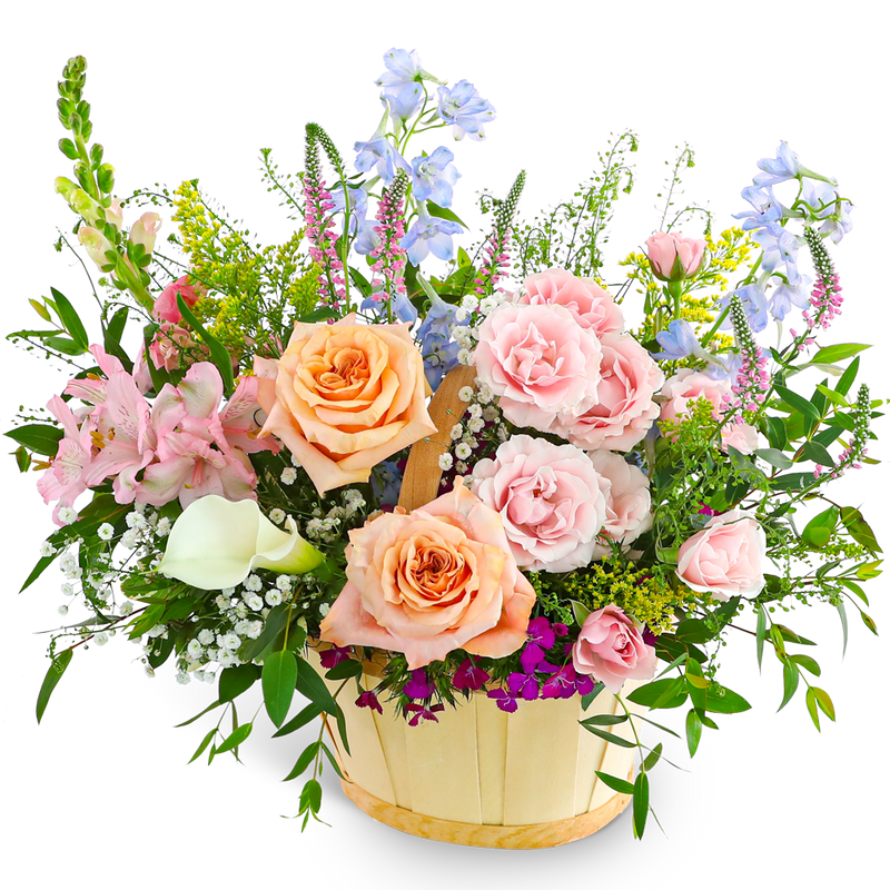 Botanical Bloom Basket