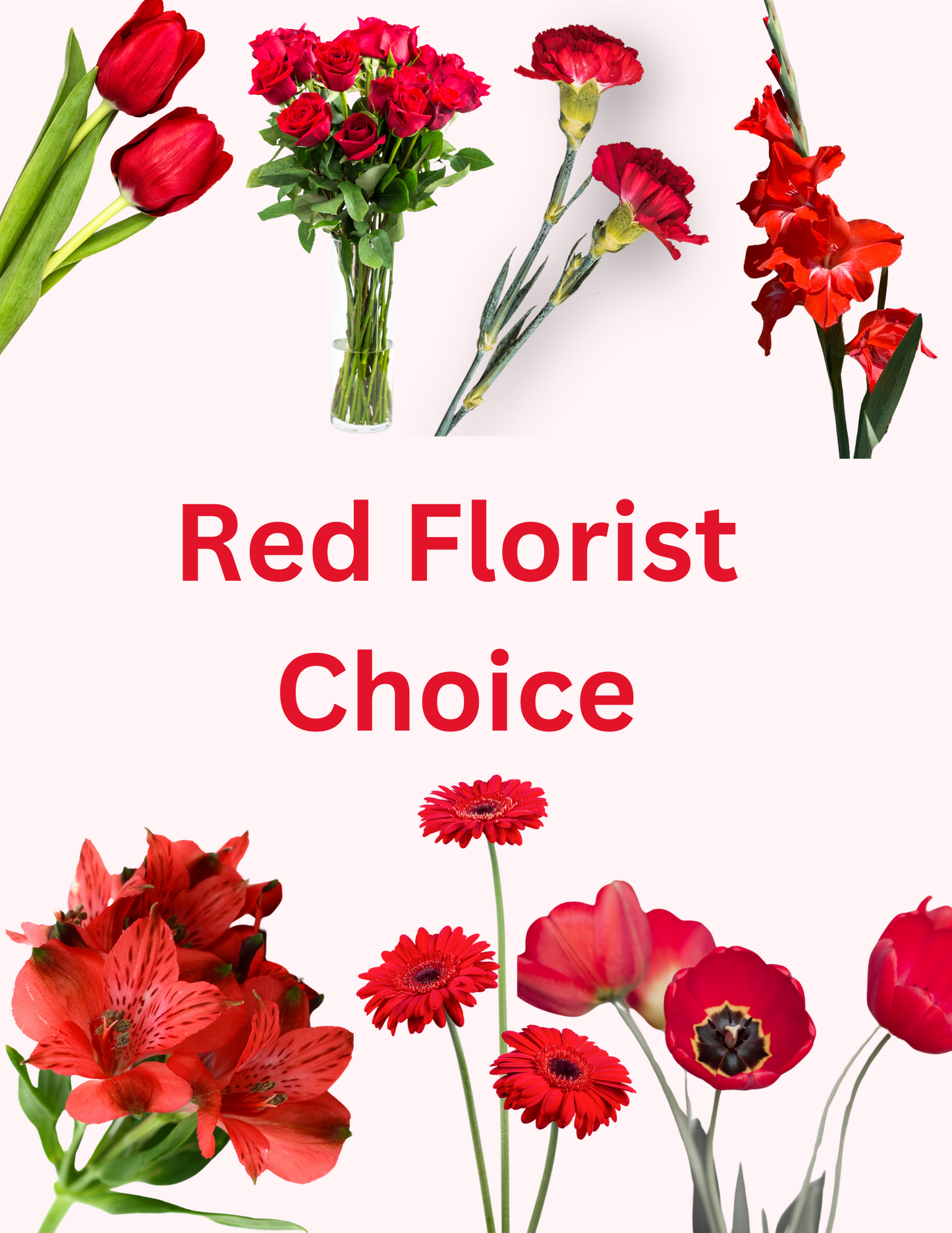 Red Florist Choice