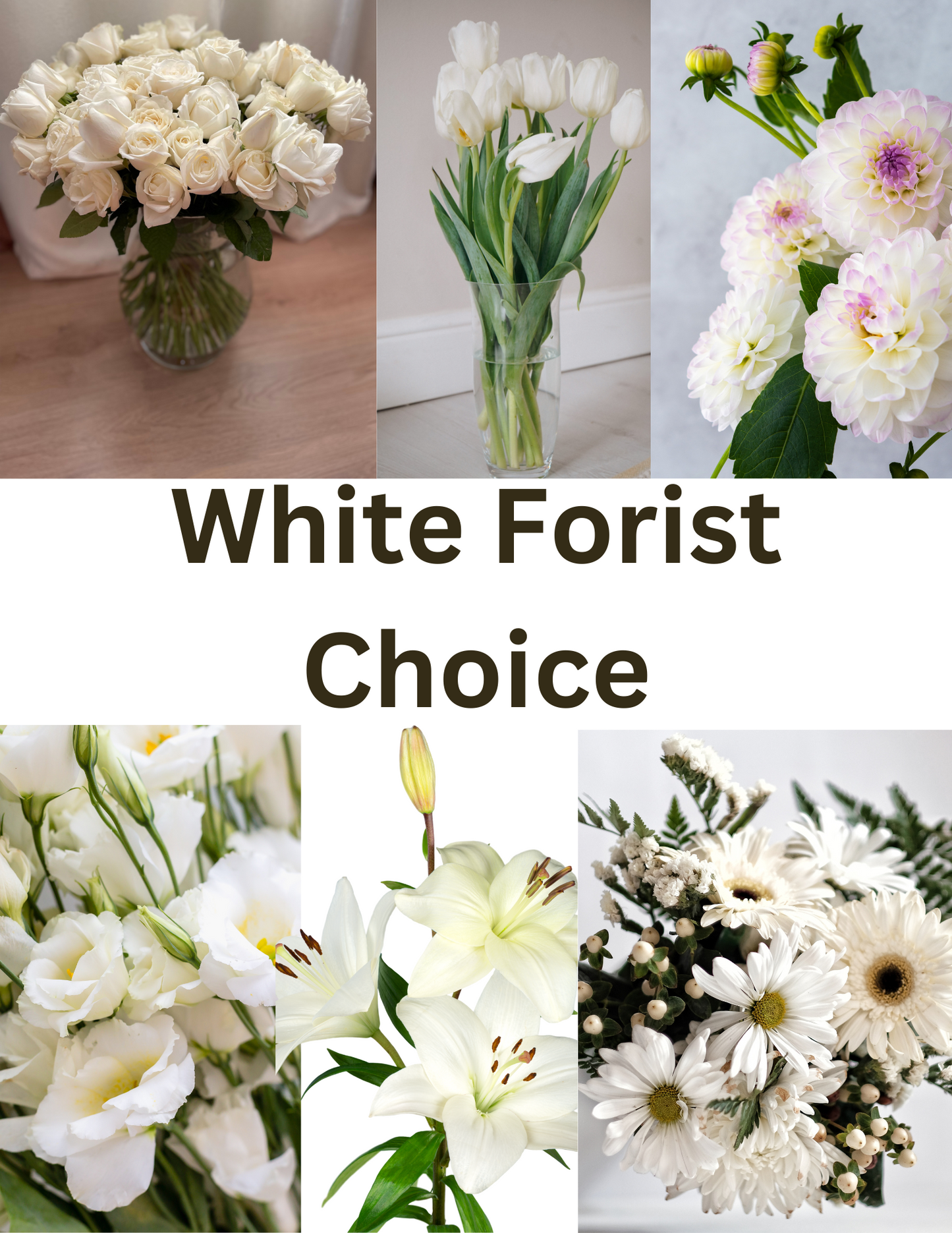 White Florist Choice