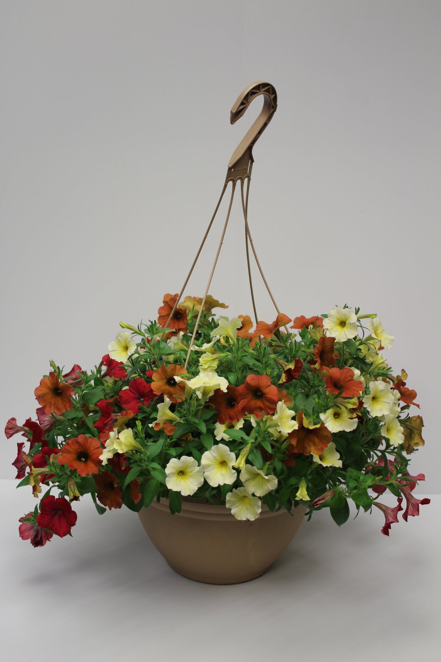 Euro Mixed Combo Hanging Basket