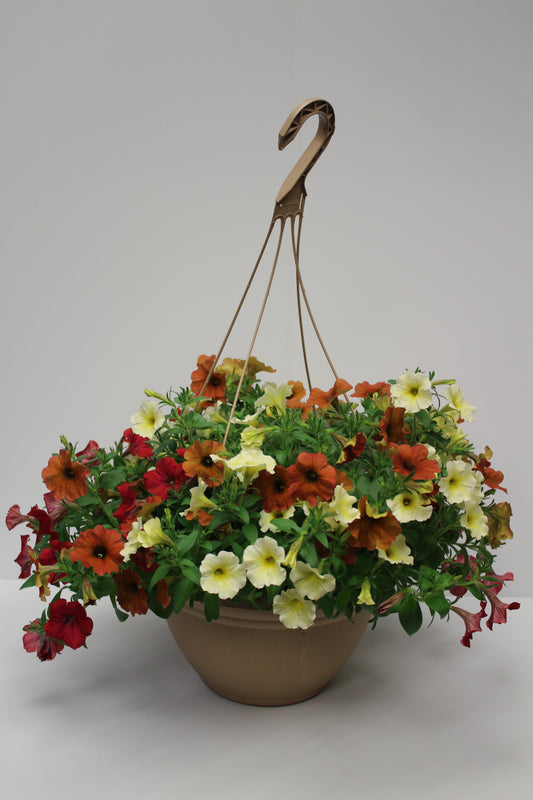 Euro Mixed Combo Hanging Basket