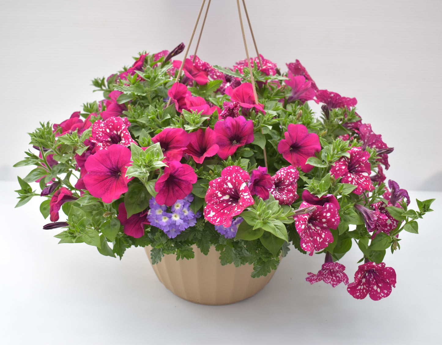 Euro Mixed Combo Hanging Basket