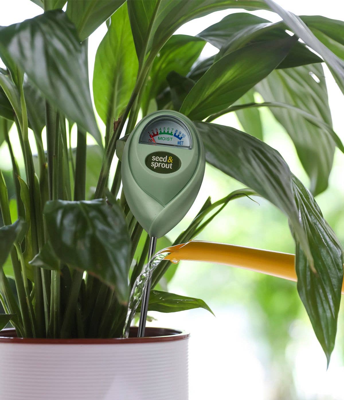 Seed & Sprout Potted Plant Moisture Meter