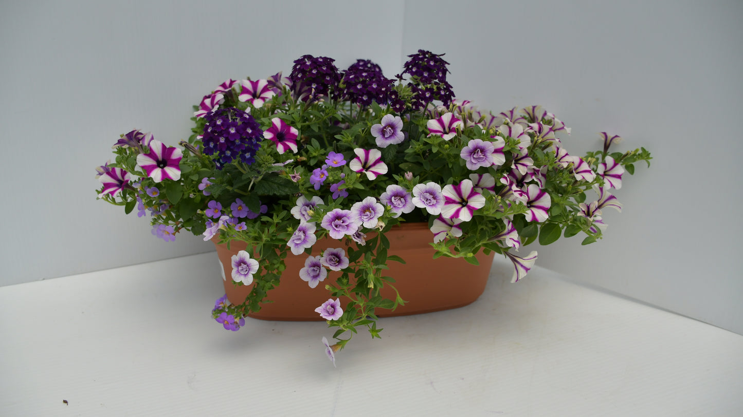 Big Oval Planter 17"