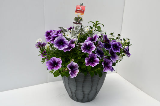 Decorator Porch Planter