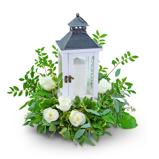 Signature White Rose Lantern