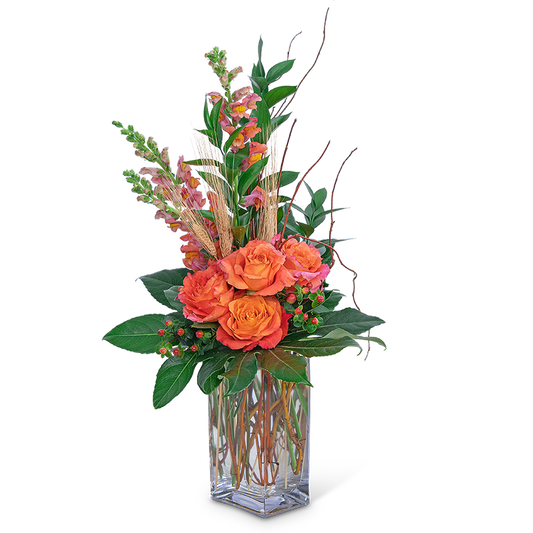 Captivating Coral