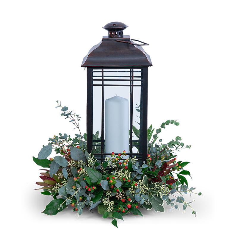 Tranquil Light