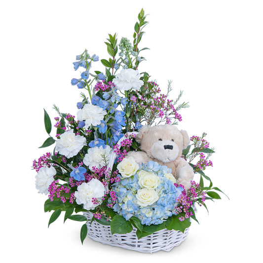 Beary Lovable