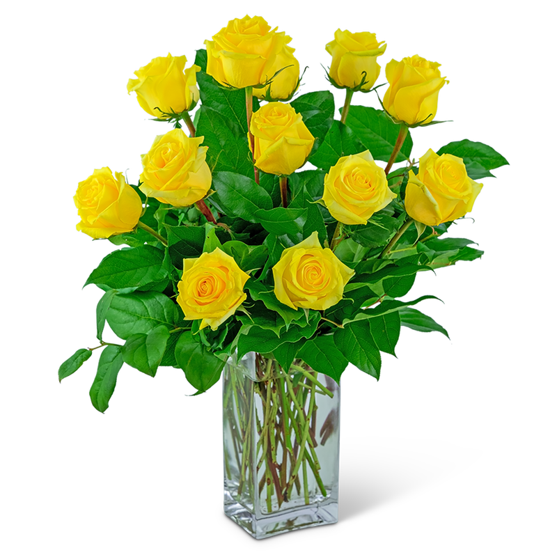 Yellow Roses (12)