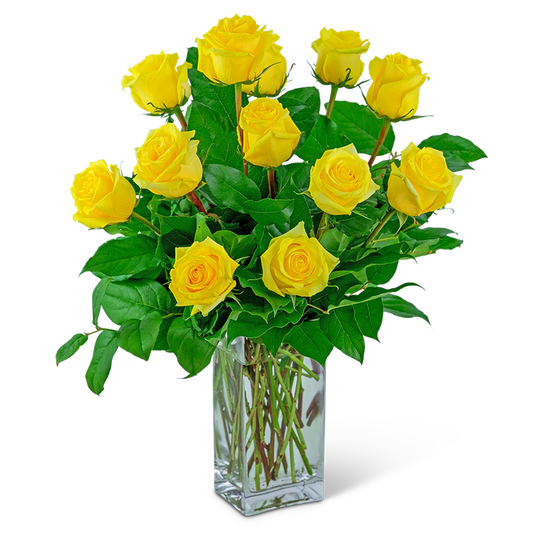 Yellow Roses (12)