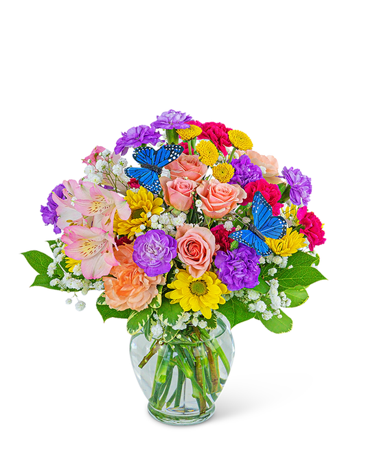 Butterfly Blooms