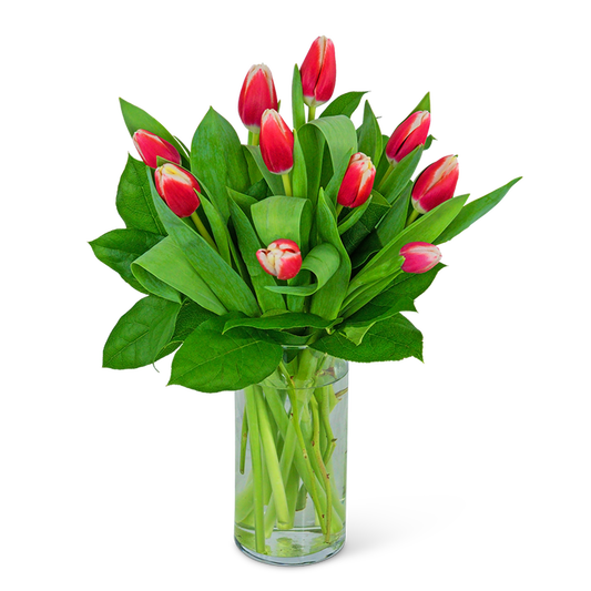 Tigress Tulips