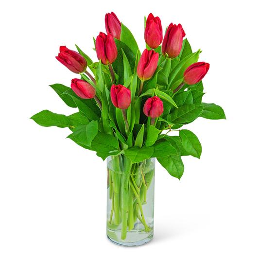 All Tulip Arrangement