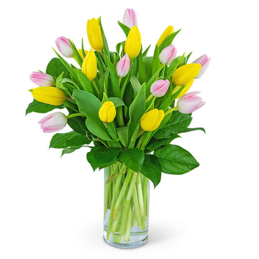 Strawberry Lemonade Deluxe Tulips