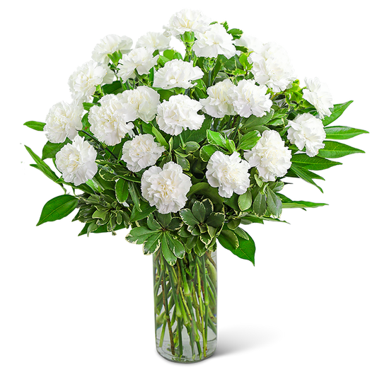 White Carnations Vase